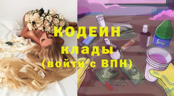 мяу мяу кристалл Няндома