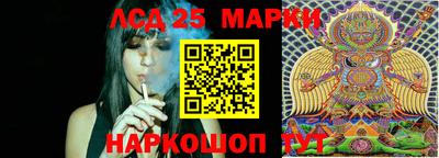 бошки Волгодонск