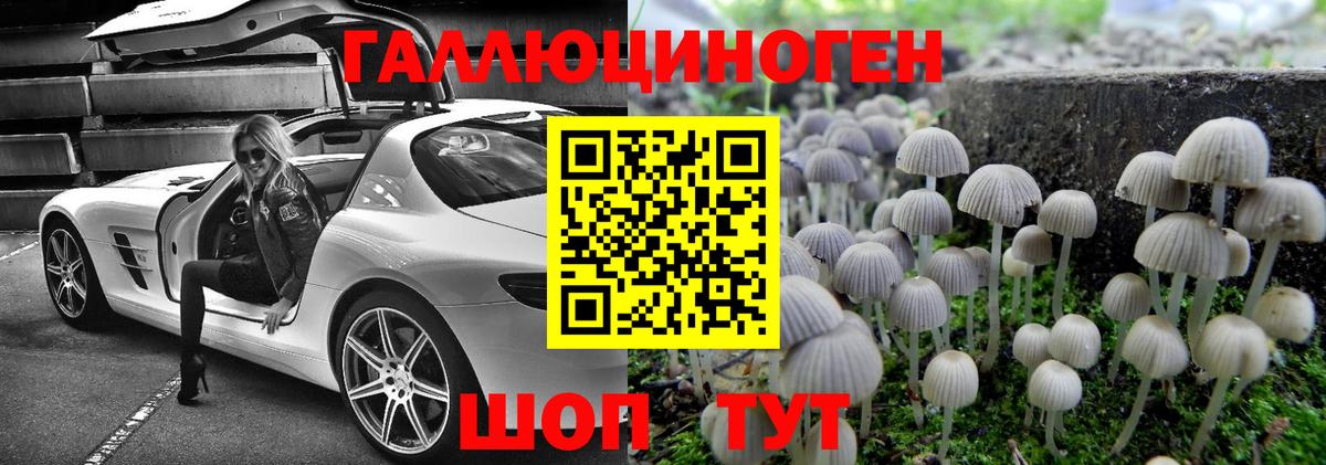Псилоцибиновые грибы Psilocybine cubensis Губаха
