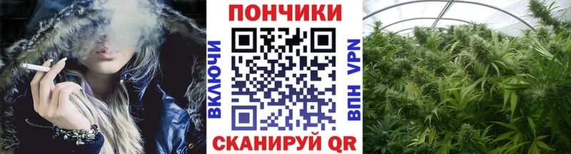 Марихуана марихуана  Губаха 